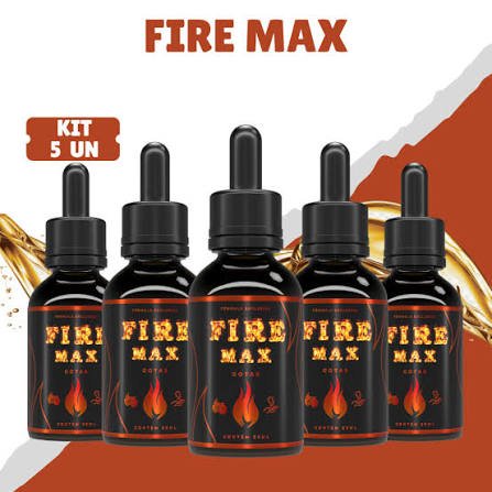 Firemax Logo